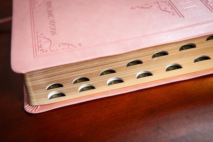 KJV Holy Bible Giant Print Blush [KSIĄŻKA]