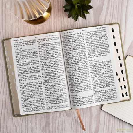 KJV Super Giant Print Reference Bible, Sage SuedeSoft LeatherTouch, Indexed [KSIĄŻKA]