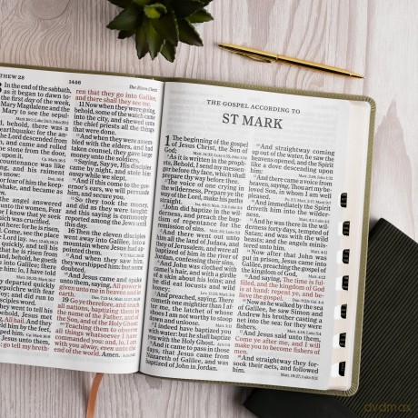 KJV Super Giant Print Reference Bible, Sage SuedeSoft LeatherTouch, Indexed [KSIĄŻKA]