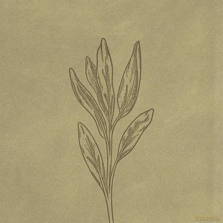 KJV Thinline Bible, Sage SuedeSoft LeatherTouch [KSIĄŻKA]