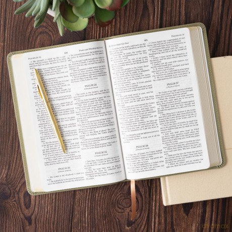 KJV Thinline Bible, Sage SuedeSoft LeatherTouch [KSIĄŻKA]
