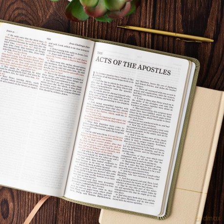 KJV Thinline Bible, Sage SuedeSoft LeatherTouch [KSIĄŻKA]