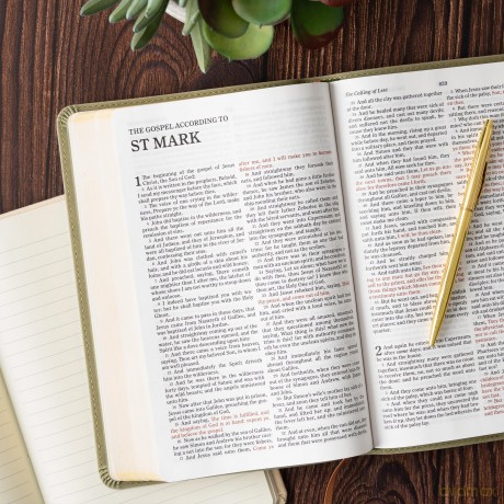 KJV Thinline Bible, Sage SuedeSoft LeatherTouch [KSIĄŻKA]
