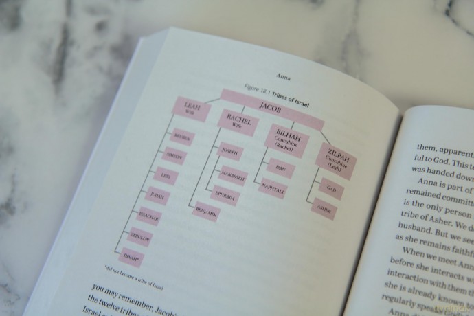 Knowing God's Voice: What Female Prophets of the Bible Teach Us About Recognizing, Trusting, and Obeying God - Rachael Groll [KSIĄŻKA]