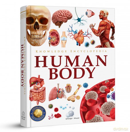 Knowledge Encyclopedia - Human Body - Wonder House Books [KSIĄŻKA]