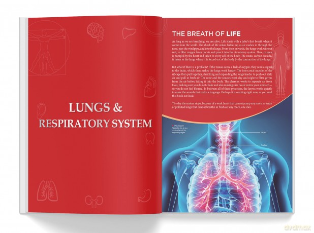 Knowledge Encyclopedia - Human Body - Wonder House Books [KSIĄŻKA]