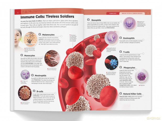 Knowledge Encyclopedia - Human Body - Wonder House Books [KSIĄŻKA]