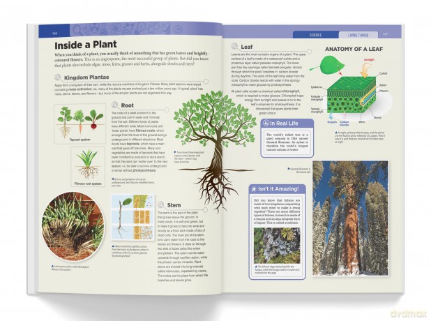 Knowledge Encyclopedia - Science: Deluxe Edition - Wonder House Books [KSIĄŻKA]
