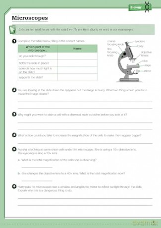 KS3 Year 7 Science Targeted Practice Workbook - Danny Nicholson [KSIĄŻKA]