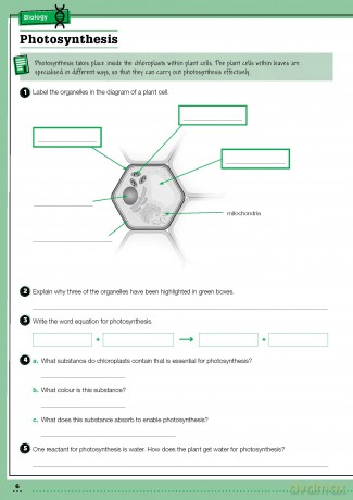 KS3 Year 9 Science Targeted Practice Workbook - Vicky Fee [KSIĄŻKA]