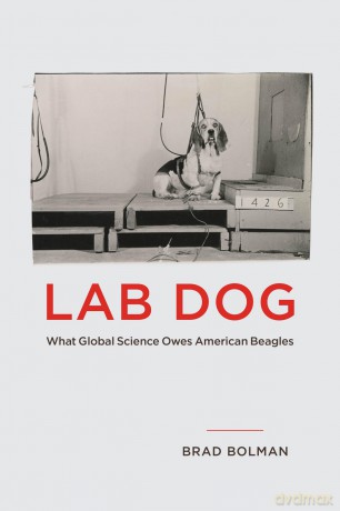 Lab Dog: What Global Science Owes American Beagles - Brad Bolman [KSIĄŻKA]