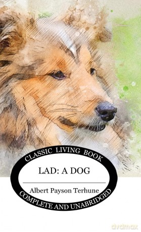 Lad: A Dog - Albert Payson Terhune [KSIĄŻKA]
