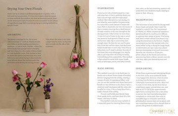Lasting Impressions: A Guide to Dried Floral Design Featuring More Than 50 Arrangements - Tennessee Jane [KSIĄŻKA]