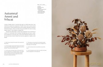 Lasting Impressions: A Guide to Dried Floral Design Featuring More Than 50 Arrangements - Tennessee Jane [KSIĄŻKA]