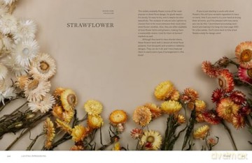 Lasting Impressions: A Guide to Dried Floral Design Featuring More Than 50 Arrangements - Tennessee Jane [KSIĄŻKA]