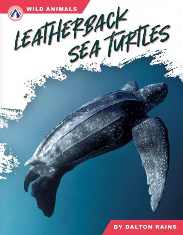 Leatherback Sea Turtles - Abby Doty [KSIĄŻKA]