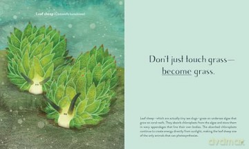 Leaving the Ocean Was a Mistake: Life Lessons from Sixty Sea Creatures - Cara Giaimo [KSIĄŻKA]