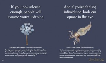 Leaving the Ocean Was a Mistake: Life Lessons from Sixty Sea Creatures - Cara Giaimo [KSIĄŻKA]