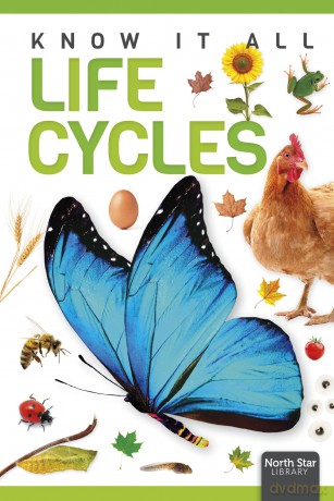 Life Cycles - Louise Nelson [KSIĄŻKA]