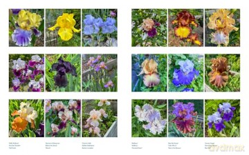 Life with Flowers: Inspiration and Lessons from the Garden - Frances Palmer [KSIĄŻKA]
