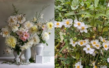 Life with Flowers: Inspiration and Lessons from the Garden - Frances Palmer [KSIĄŻKA]