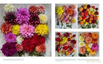 Life with Flowers: Inspiration and Lessons from the Garden - Frances Palmer [KSIĄŻKA]