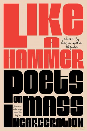 Like a Hammer: Poets on Mass Incarceration - Diana Marie Delgado [KSIĄŻKA]