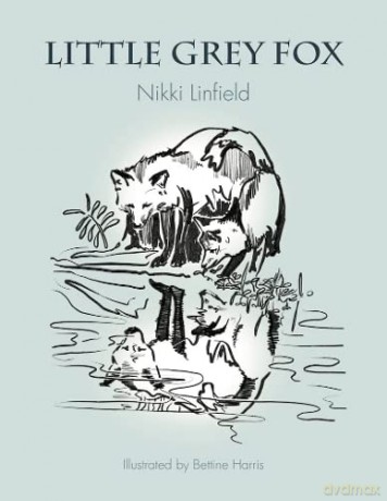 Little Grey Fox: Wondered why things were so hard - Nikki Linfield [KSIĄŻKA]
