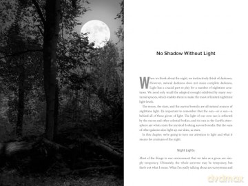 Living Night: On the Secret Wonders of Wildlife After Dark - Sophia Kimmig [KSIĄŻKA]