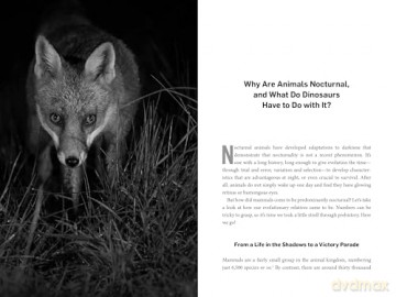 Living Night: On the Secret Wonders of Wildlife After Dark - Sophia Kimmig [KSIĄŻKA]