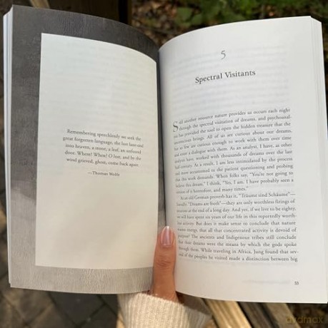 Living with Borrowed Dust: Reflections on Life, Love, and Other Grievances - James Hollis [KSIĄŻKA]