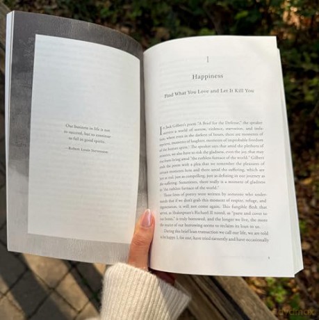 Living with Borrowed Dust: Reflections on Life, Love, and Other Grievances - James Hollis [KSIĄŻKA]