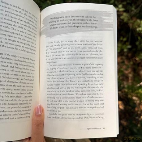 Living with Borrowed Dust: Reflections on Life, Love, and Other Grievances - James Hollis [KSIĄŻKA]