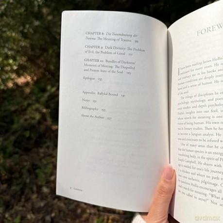 Living with Borrowed Dust: Reflections on Life, Love, and Other Grievances - James Hollis [KSIĄŻKA]