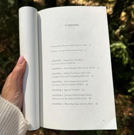 Living with Borrowed Dust: Reflections on Life, Love, and Other Grievances - James Hollis [KSIĄŻKA]