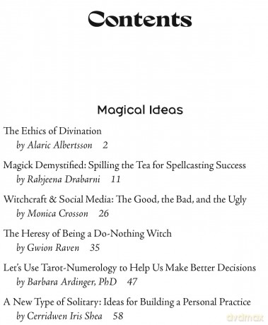Llewellyn's 2026 Witches' Companion: Community Connection Belonging - Llewellyn [KSIĄŻKA]