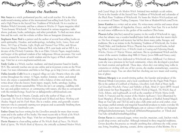 Llewellyn's 2026 Witches' Spell-A-Day Almanac - Llewellyn [KSIĄŻKA]