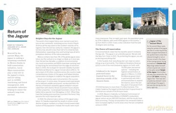 Lonely Planet Experience Mexico - Nellie Huang [KSIĄŻKA]