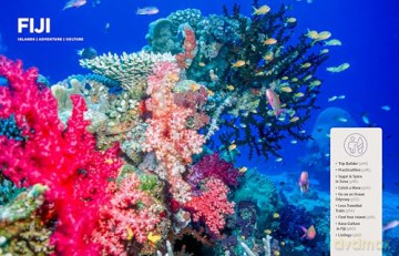 Lonely Planet Experience South Pacific - Craig McLachlan [KSIĄŻKA]