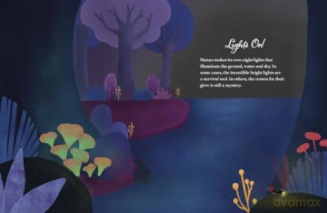 Lonely Planet Kids Good Night, Earth: 5-Minute Stories About Nature After Dark - Lonely Planet [KSIĄŻKA]