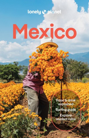 Lonely Planet Mexico - Lonely Planet [KSIĄŻKA]