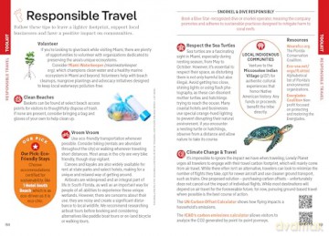 Lonely Planet Pocket Miami: Discover Twice the City in Half the Time - Jesse Scott [KSIĄŻKA]