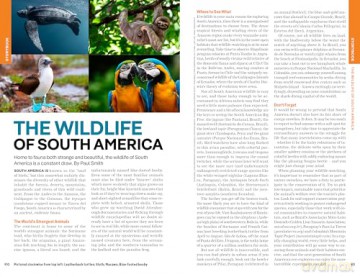 Lonely Planet South America - Isabel Albiston [KSIĄŻKA]