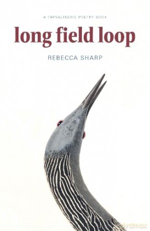 Long Field Loop - Rebecca Sharp [KSIĄŻKA]