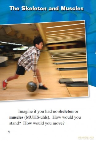 Look Inside: Your Skeleton and Muscles - Ben Williams [KSIĄŻKA]