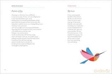 Love Is for All of Us: Poems of Tenderness and Belonging from the LGBTQ+ Community and Friends - Brad Peacock [KSIĄŻKA]