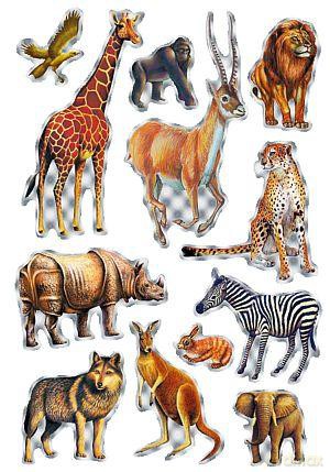 Naklejki Magic Zoo