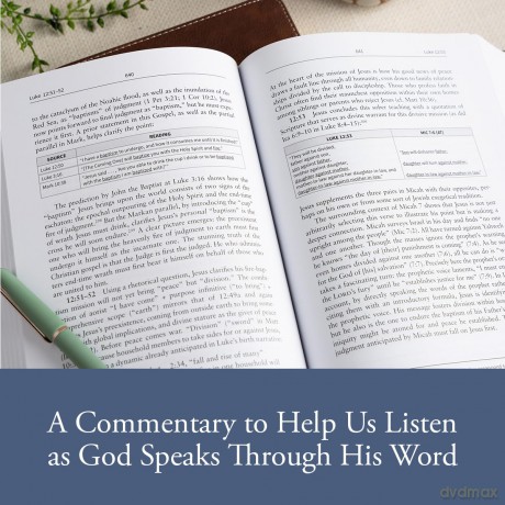 Luke: The Christian Standard Commentary - Lanier [KSIĄŻKA]