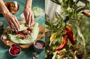 Mama Rita: Family recipes from the Mediterranean - Jessica Kahawaty [KSIĄŻKA]
