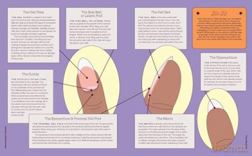 Mannequin Hands: Your Guide to Nail Art - Victoria Houllis [KSIĄŻKA]